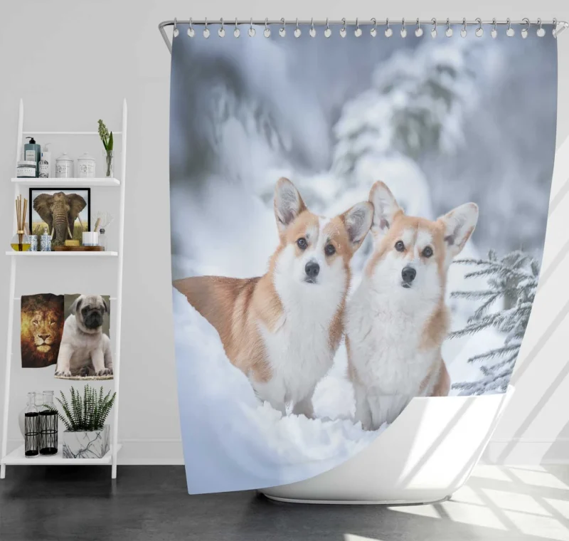 Snow Frolic: Corgi Quartet Shower Curtain