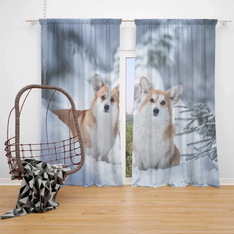 Snow Frolic: Corgi Quartet Window Curtain