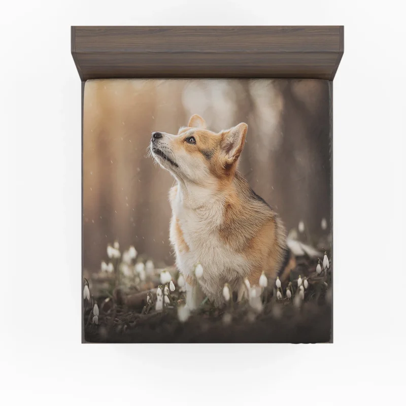 Snowdrop Frolic: Corgi Quartet Fitted Sheet