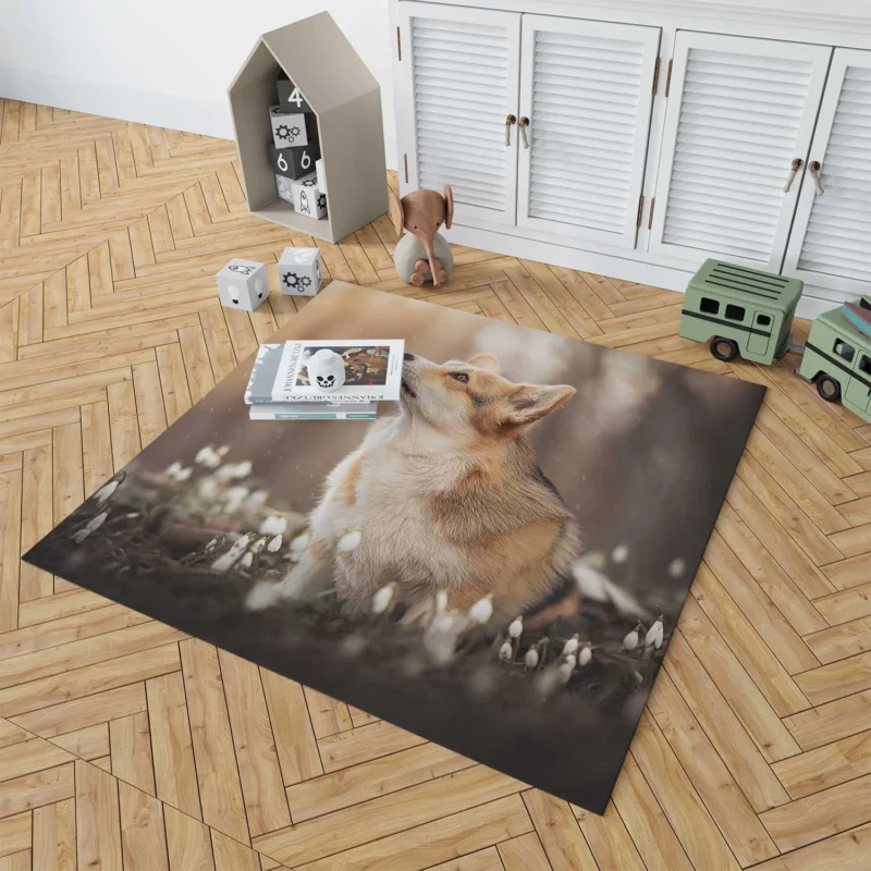 Snowdrop Frolic: Corgi Quartet Floor Rug 1