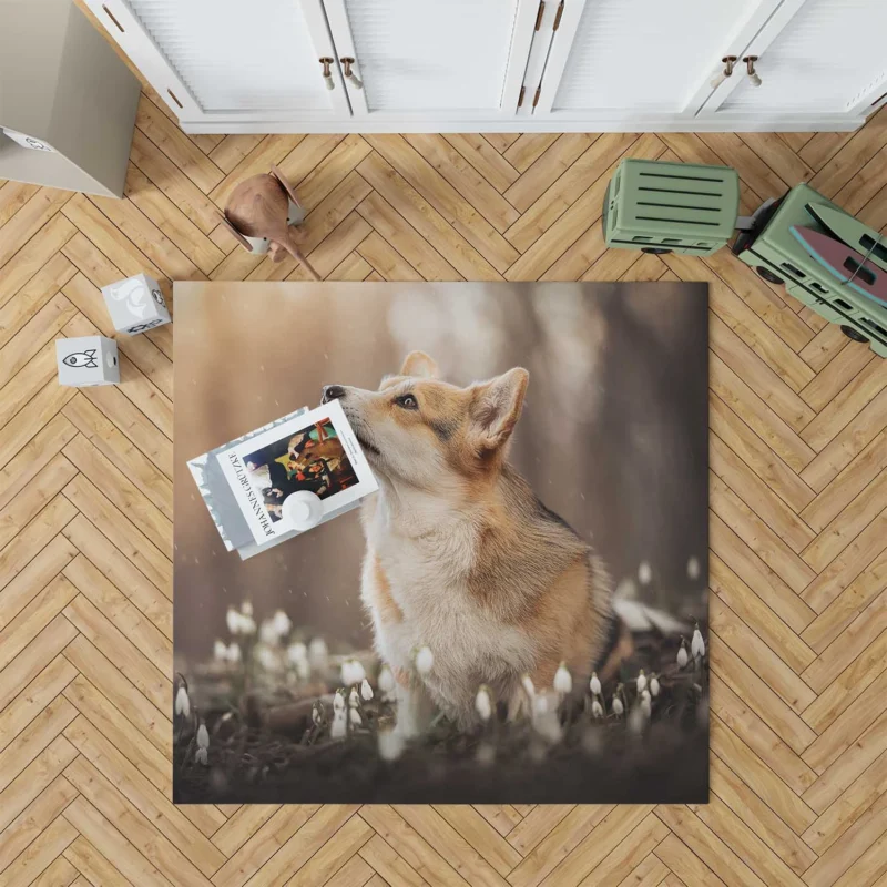 Snowdrop Frolic: Corgi Quartet Floor Rug