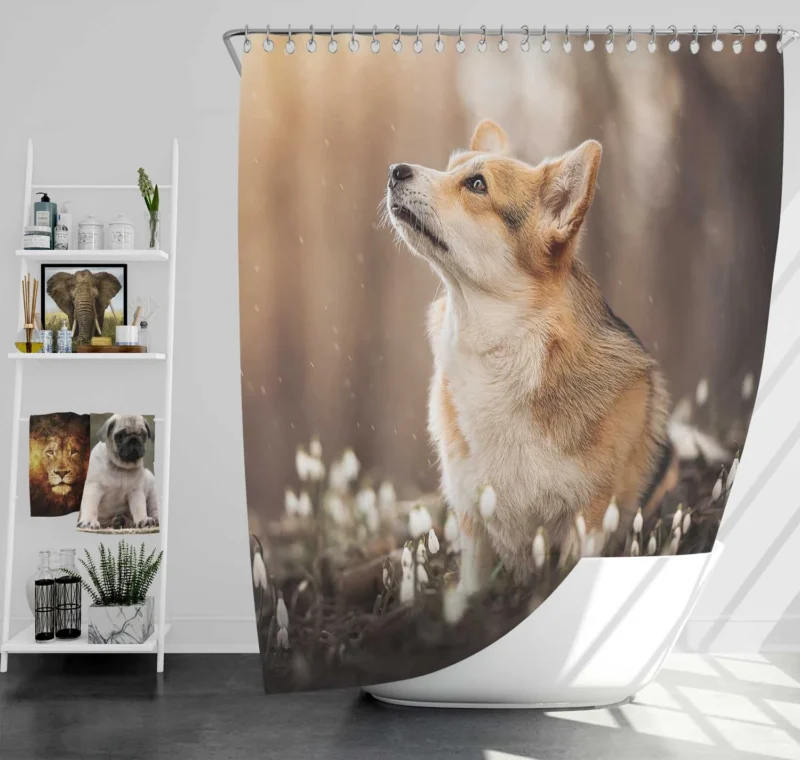 Snowdrop Frolic: Corgi Quartet Shower Curtain