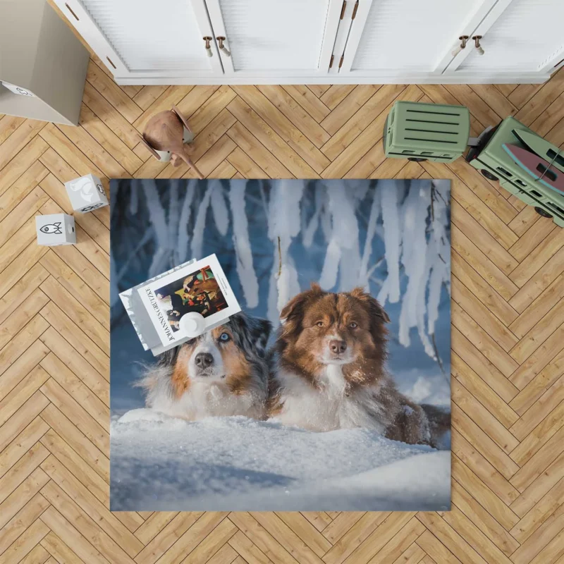 Snowy Adventures: Australian Shepherd Floor Rug