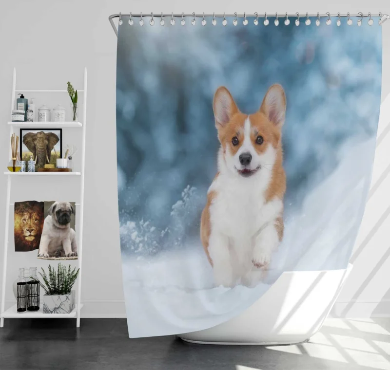 Snowy Adventures: Corgi in Winter Snow Shower Curtain