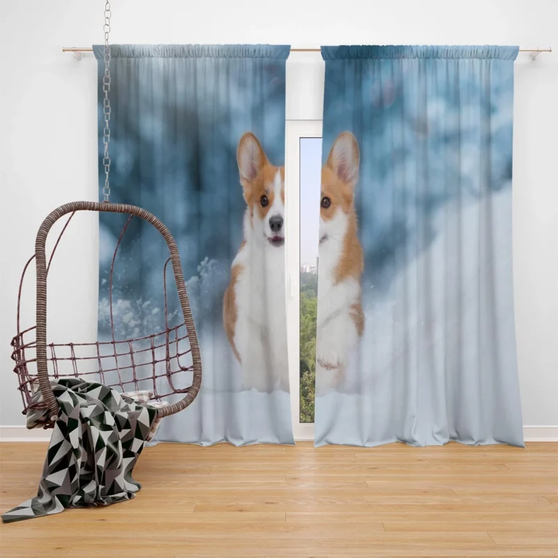 Snowy Adventures: Corgi in Winter Snow Window Curtain