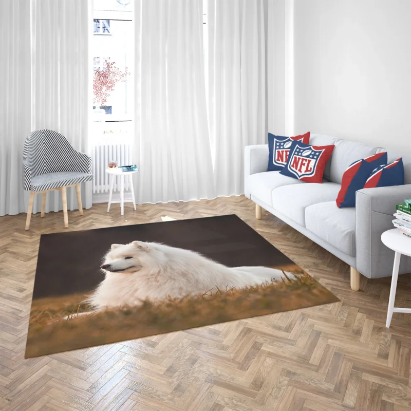 Snowy Beauties: Samoyed Quartet Floor Rug 2