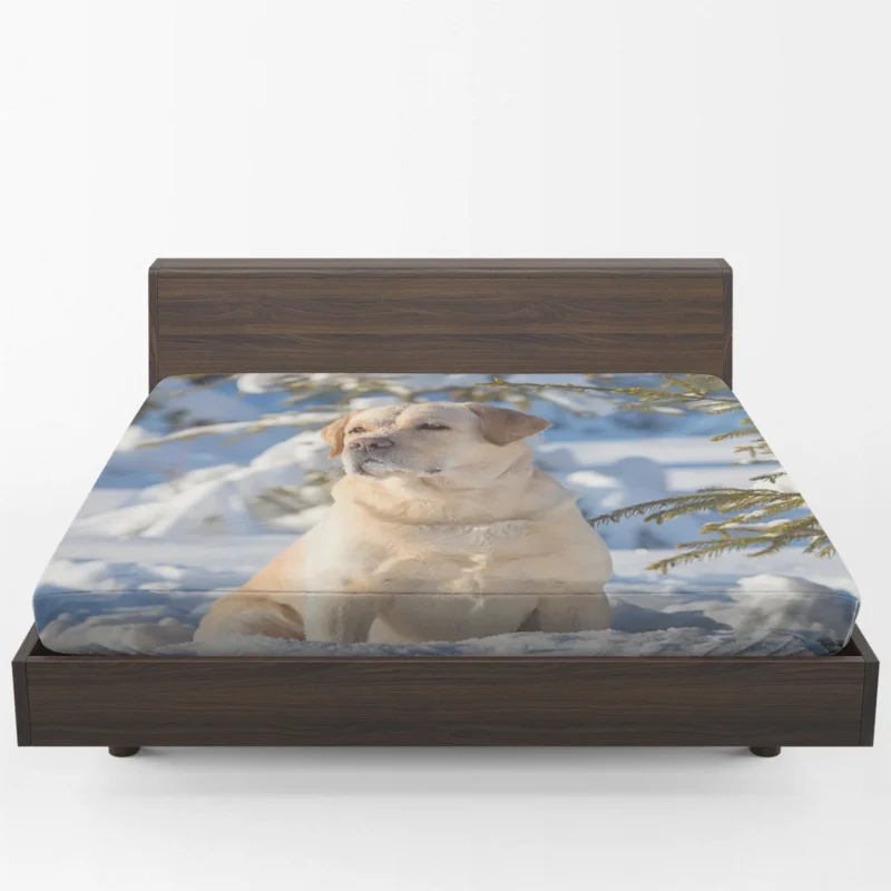 Snowy Beauty: Labrador Winter Quartet Fitted Sheet 1