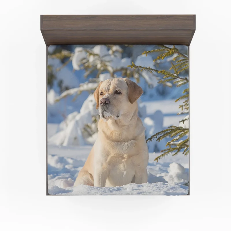 Snowy Beauty: Labrador Winter Quartet Fitted Sheet