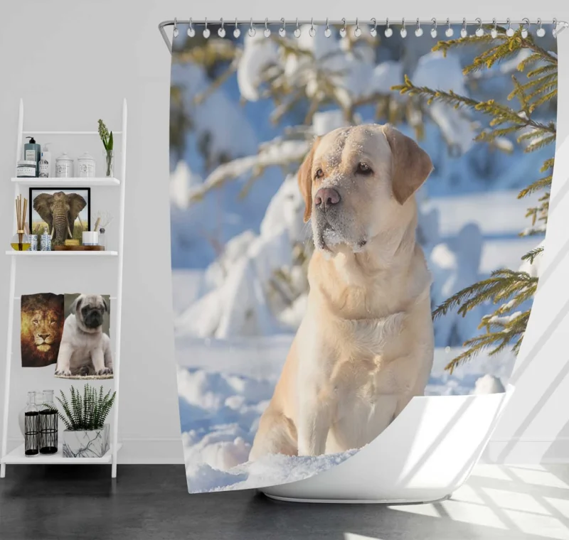 Snowy Beauty: Labrador Winter Quartet Shower Curtain