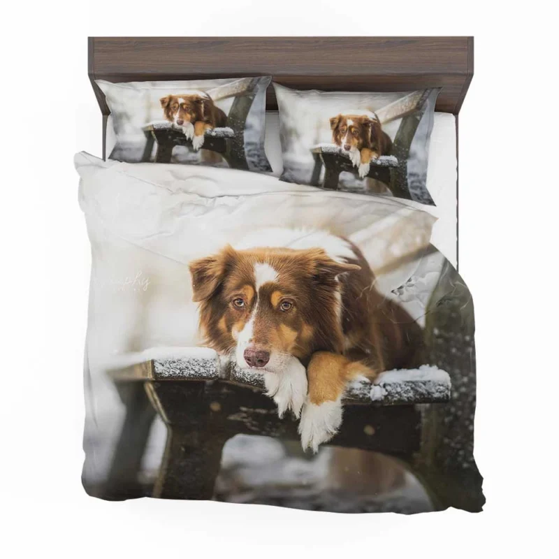 Snowy Bench Beauty with Border Collie on Winter Bench Bedding Set 1