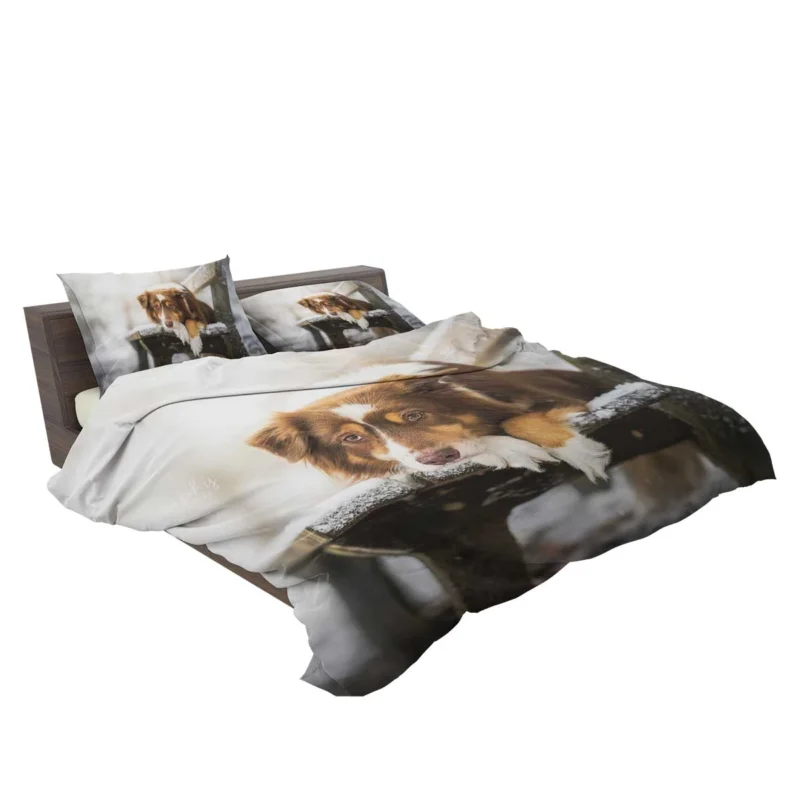 Snowy Bench Beauty with Border Collie on Winter Bench Bedding Set 2