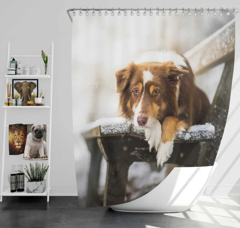 Snowy Bench Beauty with Border Collie on Winter Bench Shower Curtain