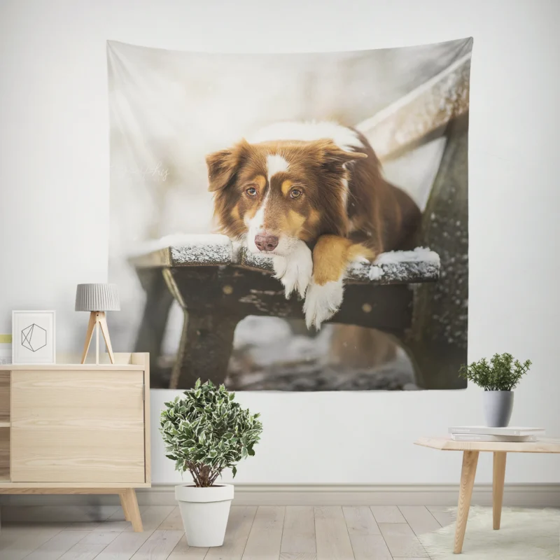 Snowy Bench Beauty with Border Collie on Winter Bench Wall Tapestry