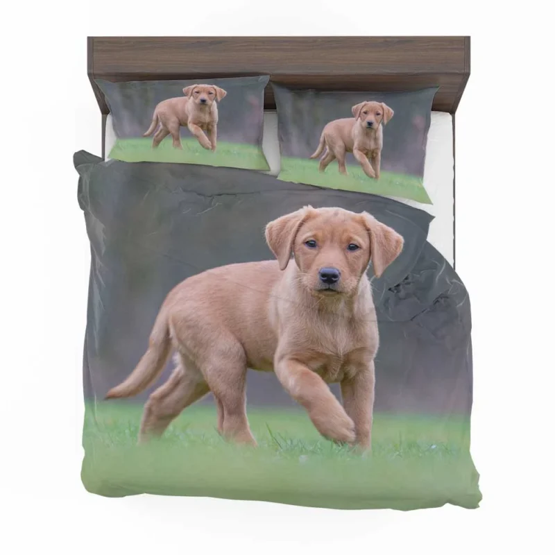 Snowy Canine Bliss: Labrador Puppy Quartet Bedding Set 1