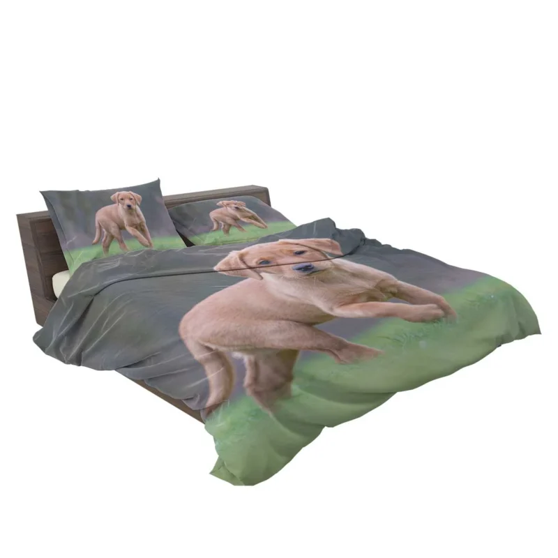 Snowy Canine Bliss: Labrador Puppy Quartet Bedding Set 2