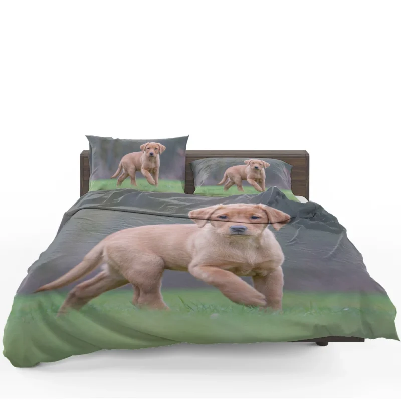 Snowy Canine Bliss: Labrador Puppy Quartet Bedding Set