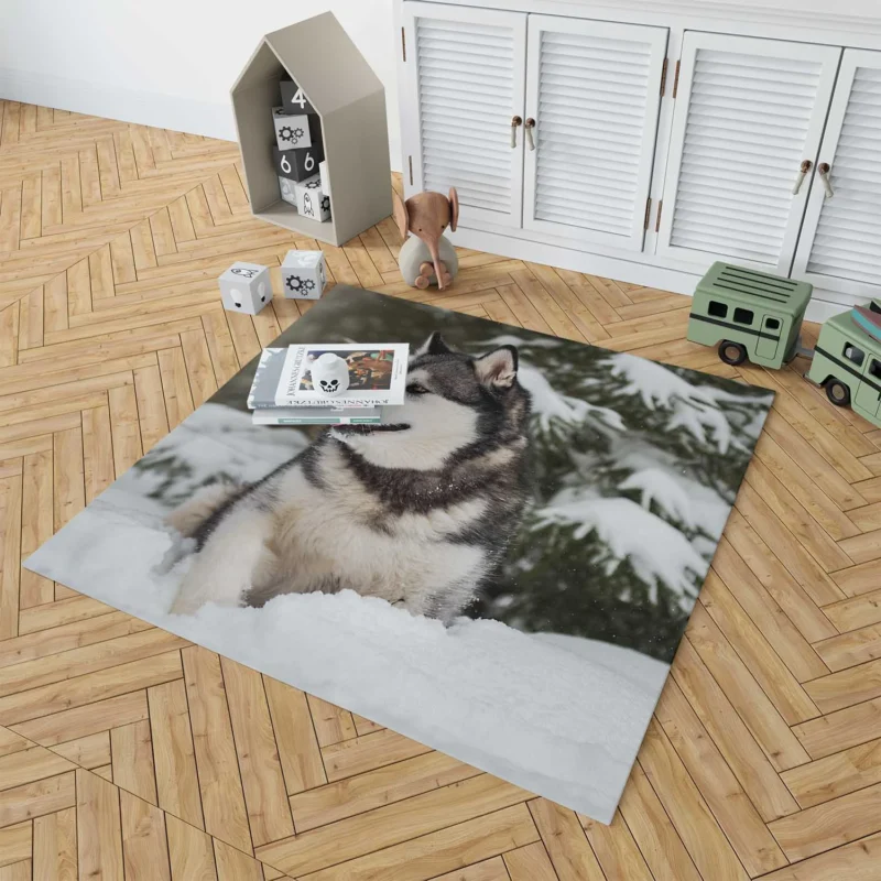 Snowy Delight with Alaskan Malamute Quartet Floor Rug 1