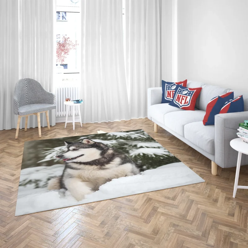 Snowy Delight with Alaskan Malamute Quartet Floor Rug 2