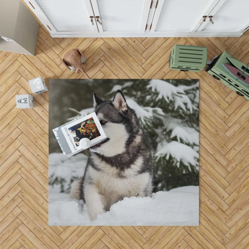 Snowy Delight with Alaskan Malamute Quartet Floor Rug