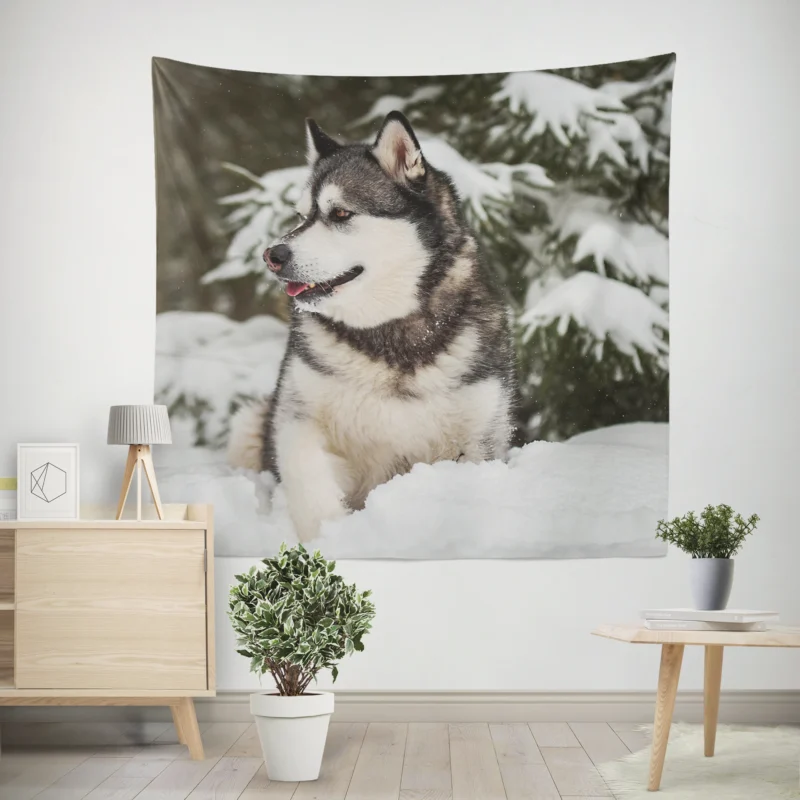 Snowy Delight with Alaskan Malamute Quartet Wall Tapestry