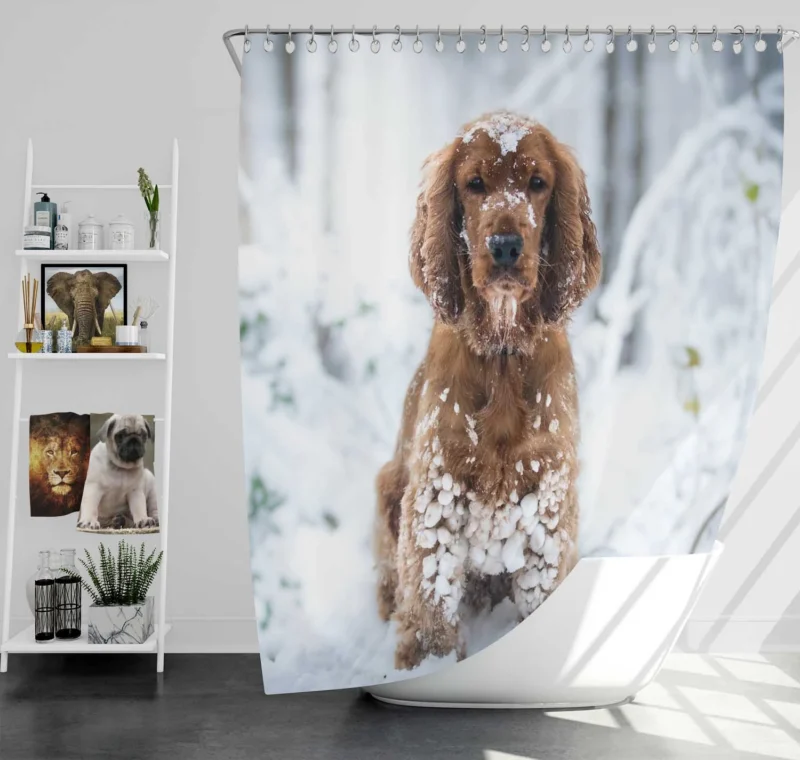 Snowy Playtime with Cocker Spaniels Shower Curtain