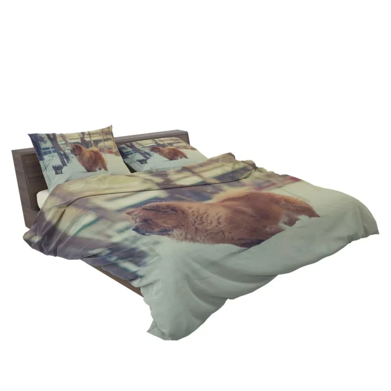 Snowy Serenity with Chow Chows Bedding Set 2