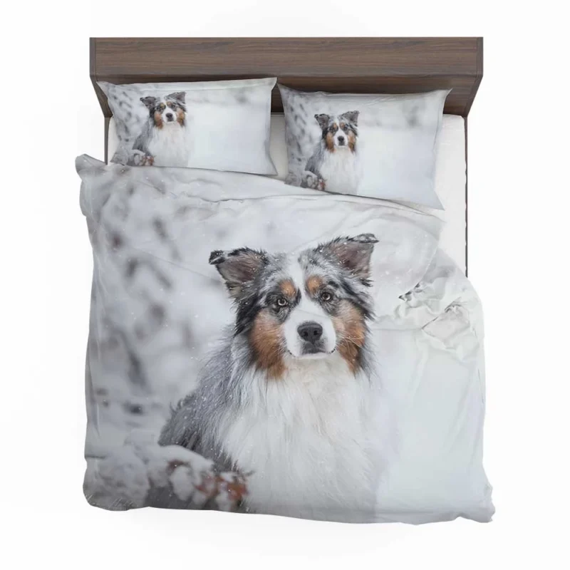 Snowy Winter with Depth Of Field and Stare: Australian Shepherd Bedding Set 1