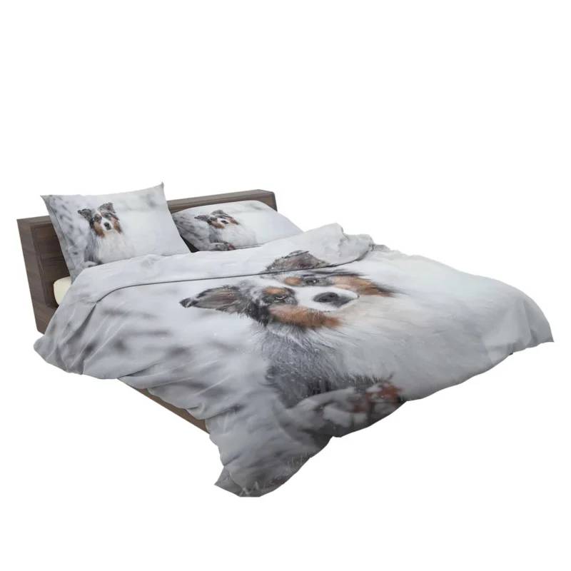 Snowy Winter with Depth Of Field and Stare: Australian Shepherd Bedding Set 2