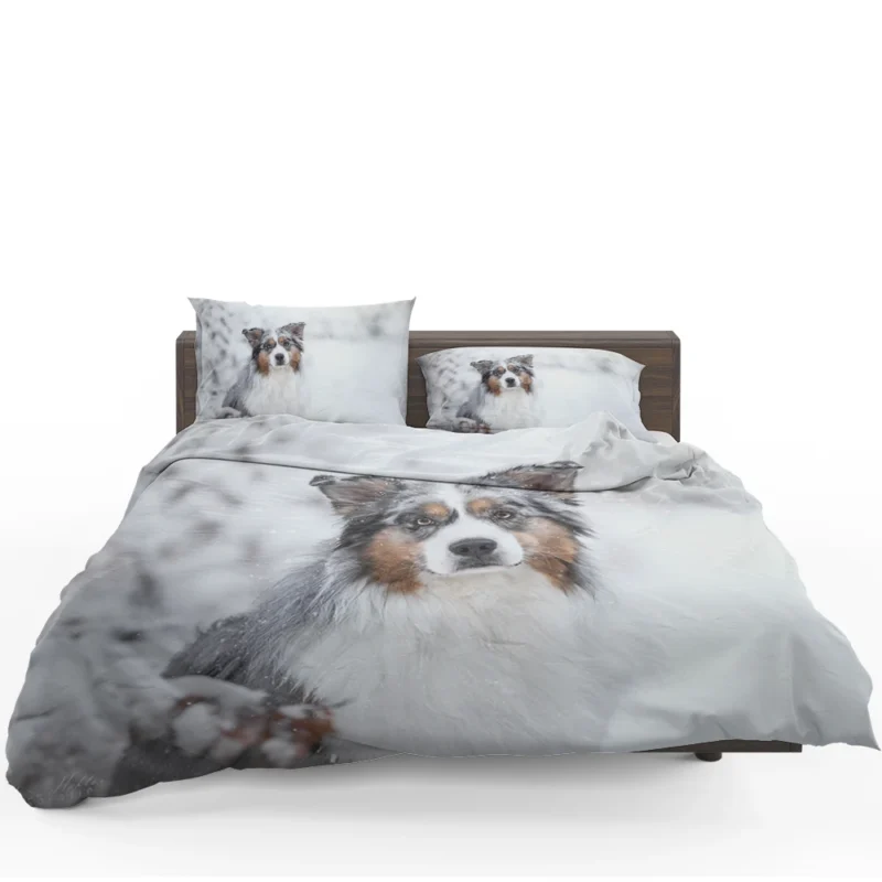 Snowy Winter with Depth Of Field and Stare: Australian Shepherd Bedding Set