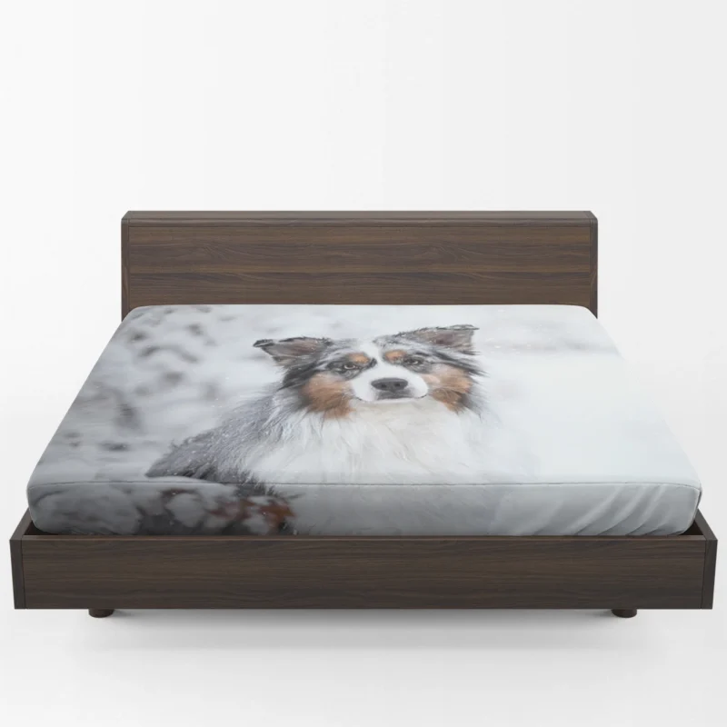 Snowy Winter with Depth Of Field and Stare: Australian Shepherd Fitted Sheet 1