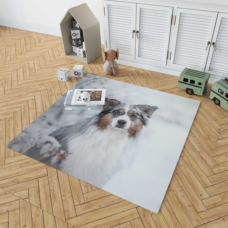 Snowy Winter with Depth Of Field and Stare: Australian Shepherd Floor Rug 1