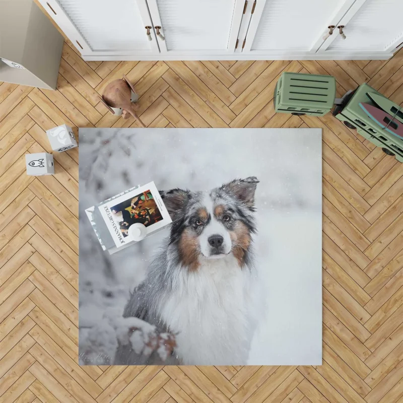 Snowy Winter with Depth Of Field and Stare: Australian Shepherd Floor Rug