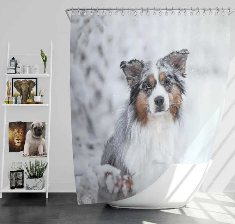 Snowy Winter with Depth Of Field and Stare: Australian Shepherd Shower Curtain
