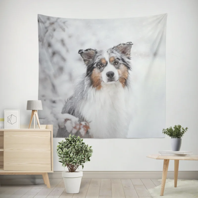 Snowy Winter with Depth Of Field and Stare  Australian Shepherd Wall Tapestry