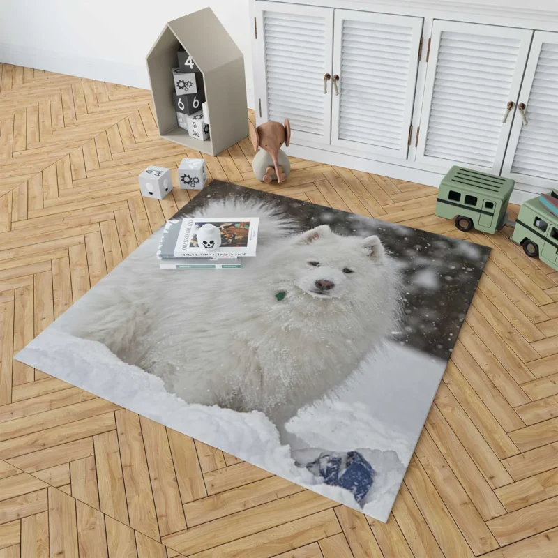 Snowy Wonderland: Samoyed Quartet Floor Rug 1