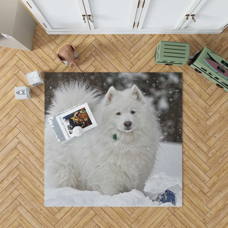 Snowy Wonderland: Samoyed Quartet Floor Rug