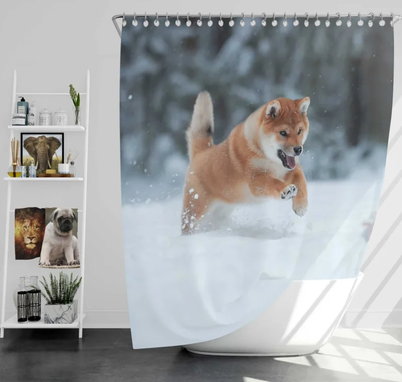 Snowy Wonderland with the Akita Quartet Shower Curtain