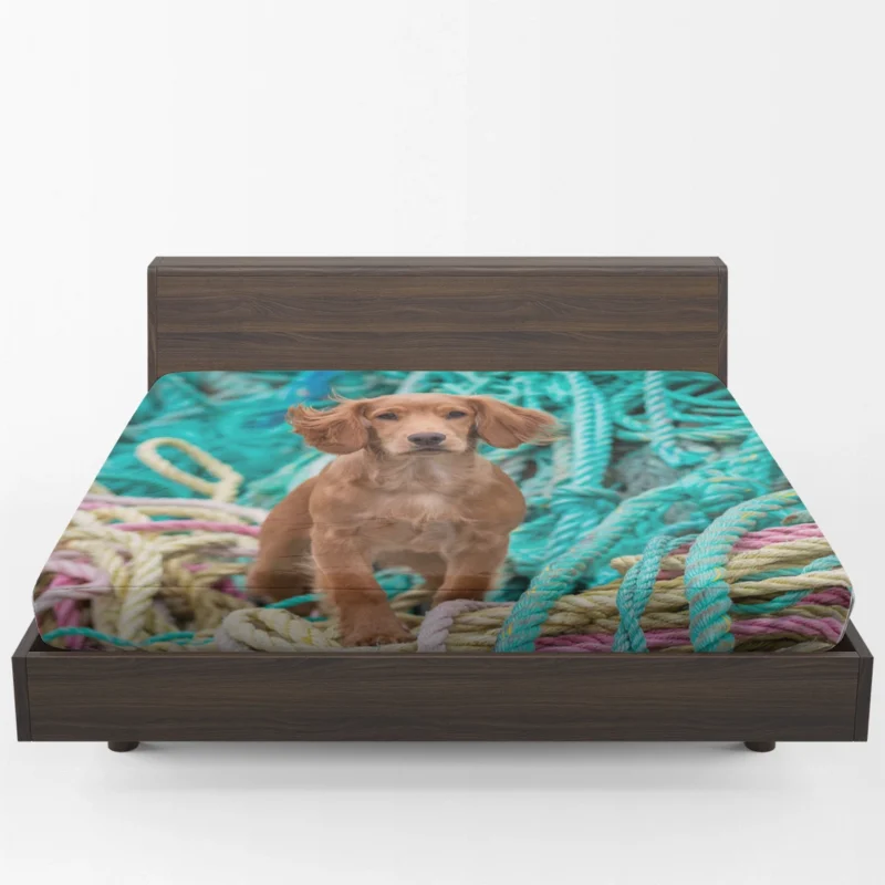 Spaniel Quartet with Rope Elements Fitted Sheet 1