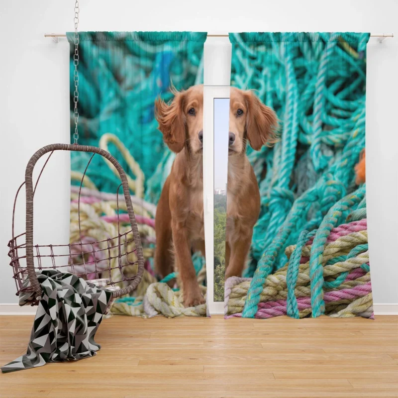 Spaniel Quartet with Rope Elements Window Curtain