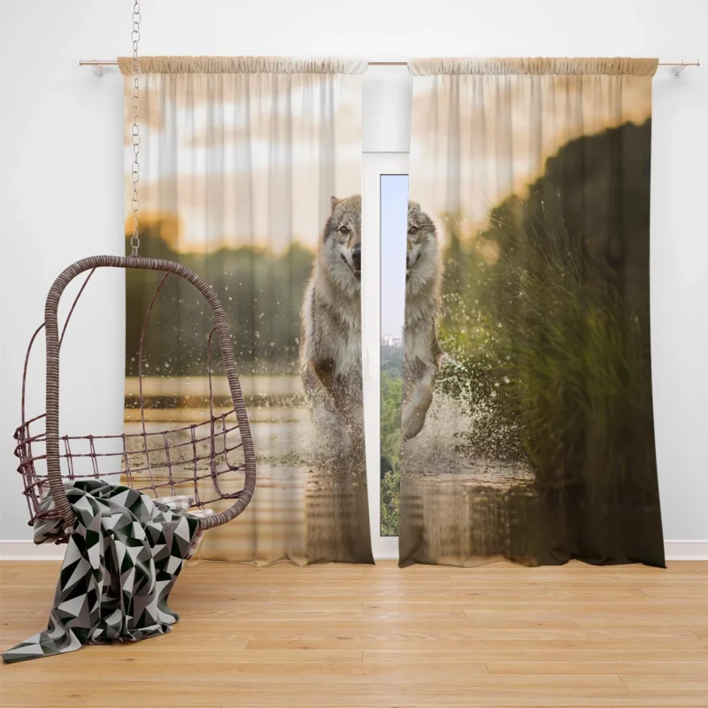 Splashes and Depth: Wolfdog Quartet by the Water Window Curtain