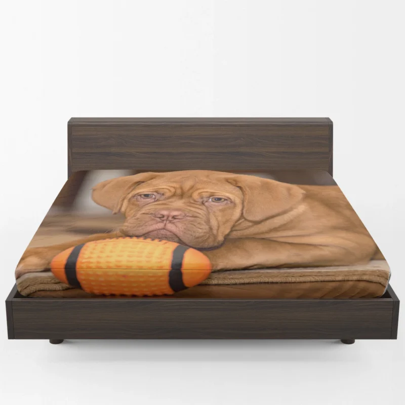 Sporty Puppies in Bauble: Dogue de Bordeaux Quartet Fitted Sheet 1