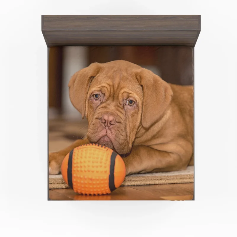 Sporty Puppies in Bauble: Dogue de Bordeaux Quartet Fitted Sheet