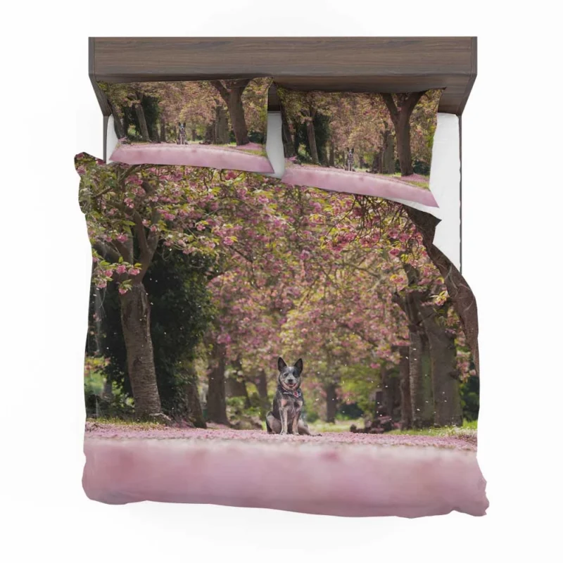 Spring Blossoms in Depth of Field: Australian Cattle Dog Bedding Set 1