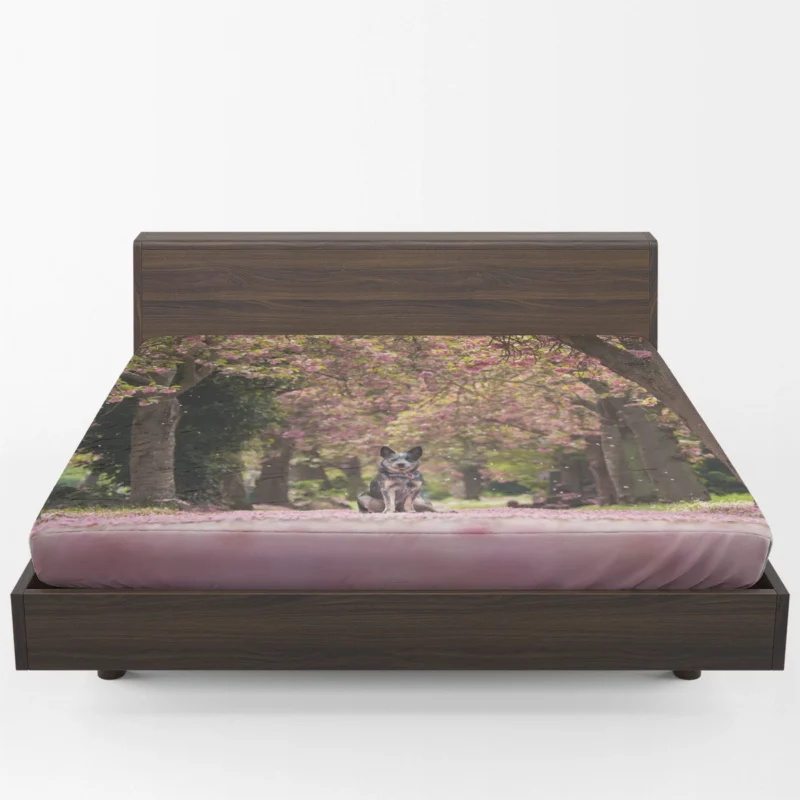 Spring Blossoms in Depth of Field: Australian Cattle Dog Fitted Sheet 1