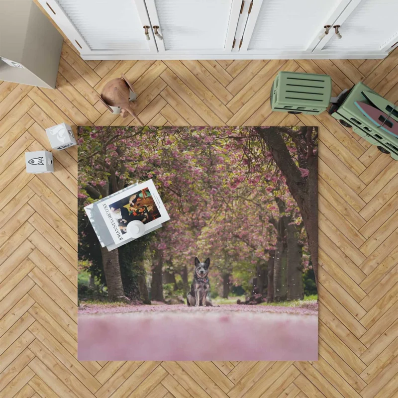 Spring Blossoms in Depth of Field: Australian Cattle Dog Floor Rug