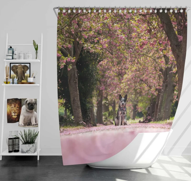 Spring Blossoms in Depth of Field: Australian Cattle Dog Shower Curtain