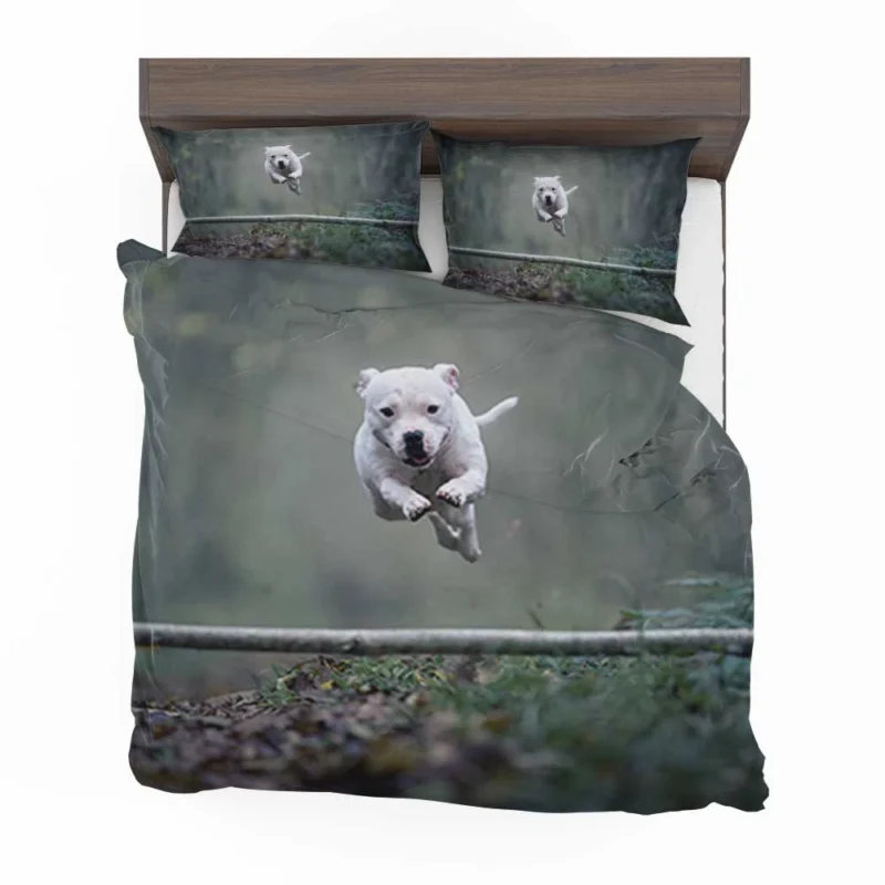 Staffordshire Beauty in Fourfold: Bull Terrier Quartet Bedding Set 1