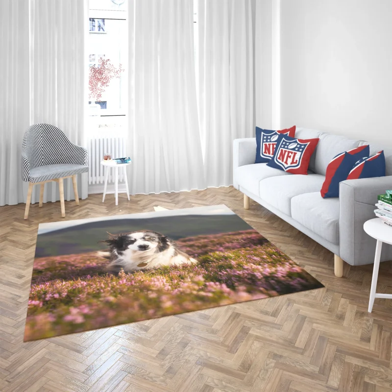 Stare and Depth Of Field Lavender Collie: Border Collie Floor Rug 2