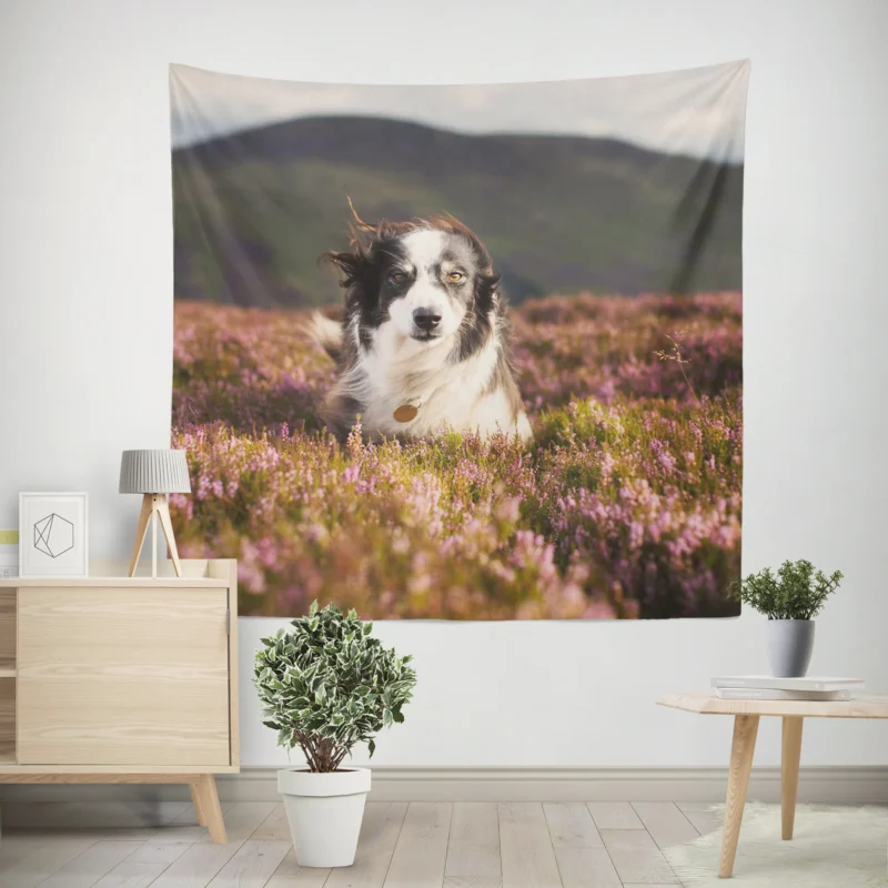 Stare and Depth Of Field Lavender Collie  Border Collie Wall Tapestry