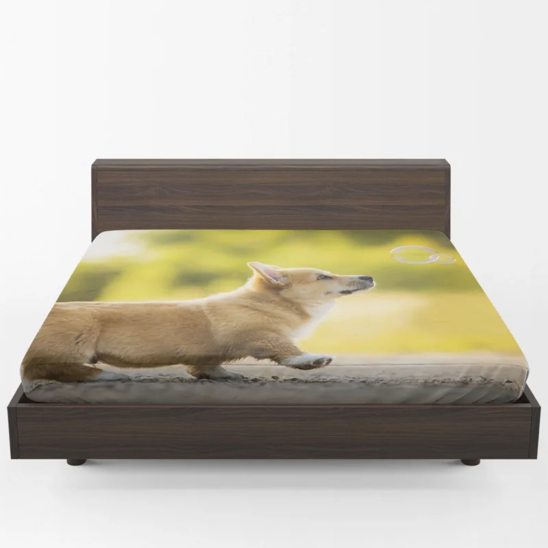 Stroll in Depth of Field: Corgi Quartet Fitted Sheet 1